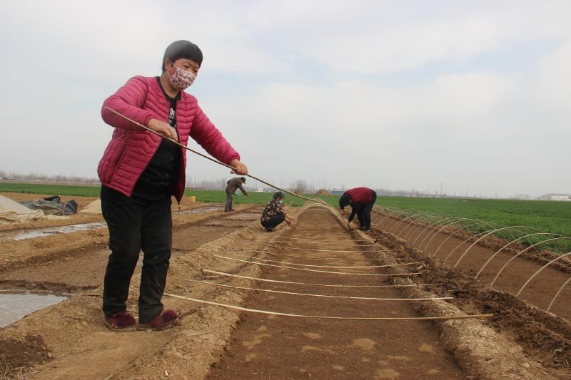 疫情防控、春耕生產(chǎn)兩手抓