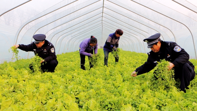 民警幫扶貧困戶 細致入微暖人心